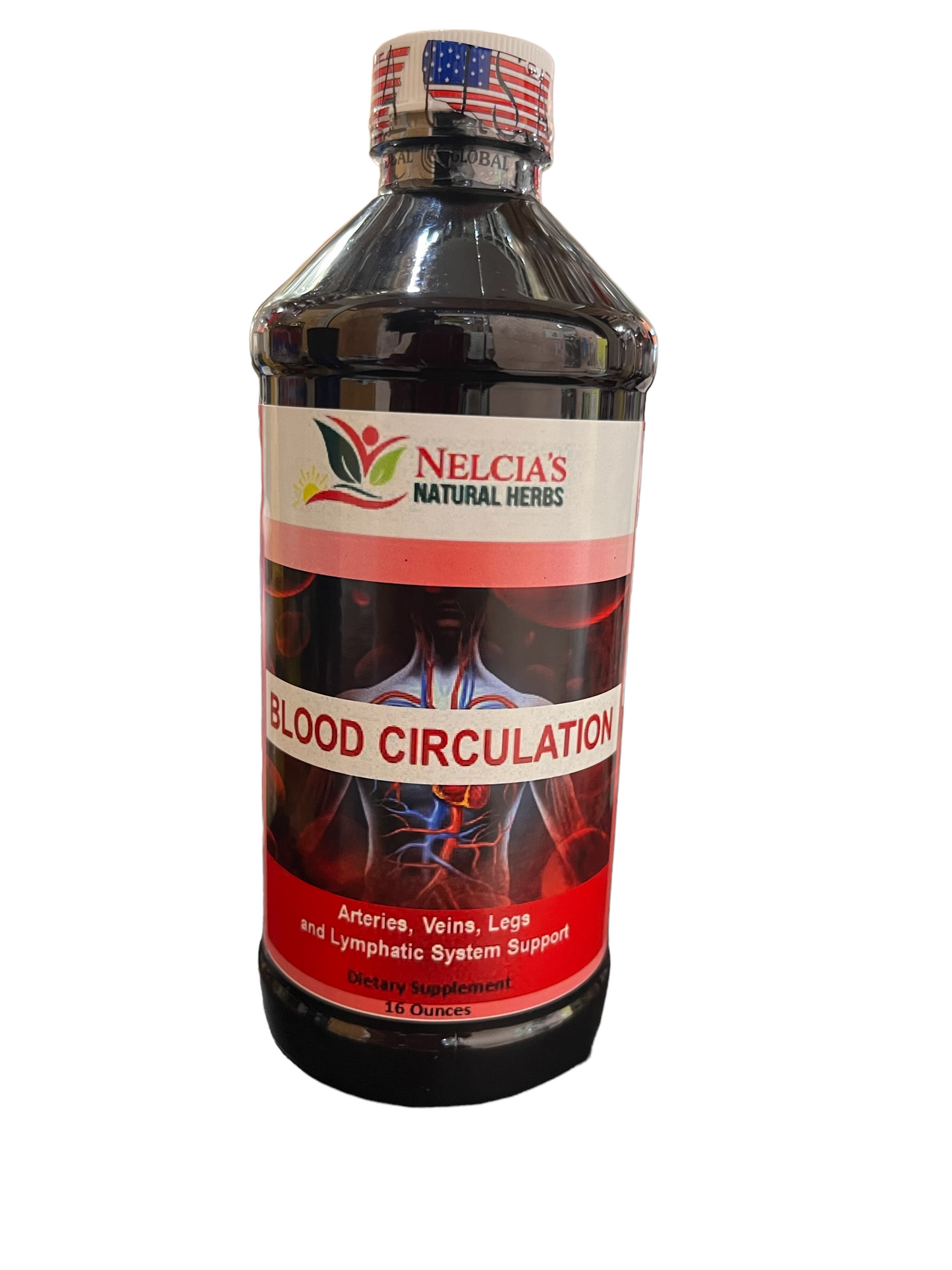 Blood Circulation